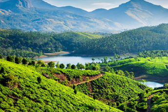 kerala-tour/mini-kerala-tour-package.html